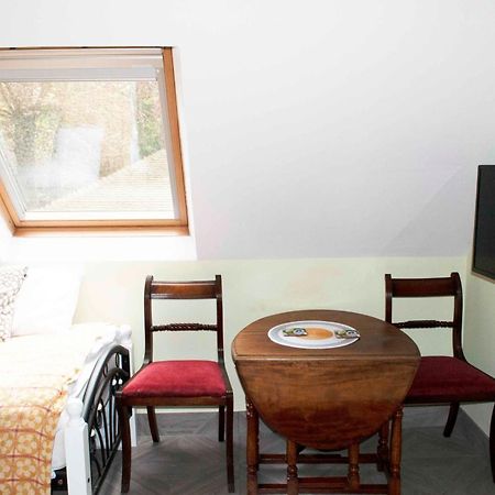 Forest Studio Apartment Gated Parking On 2 Acres Garden 치즐허스트 외부 사진