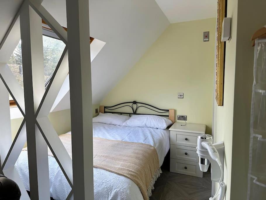 Forest Studio Apartment Gated Parking On 2 Acres Garden 치즐허스트 외부 사진