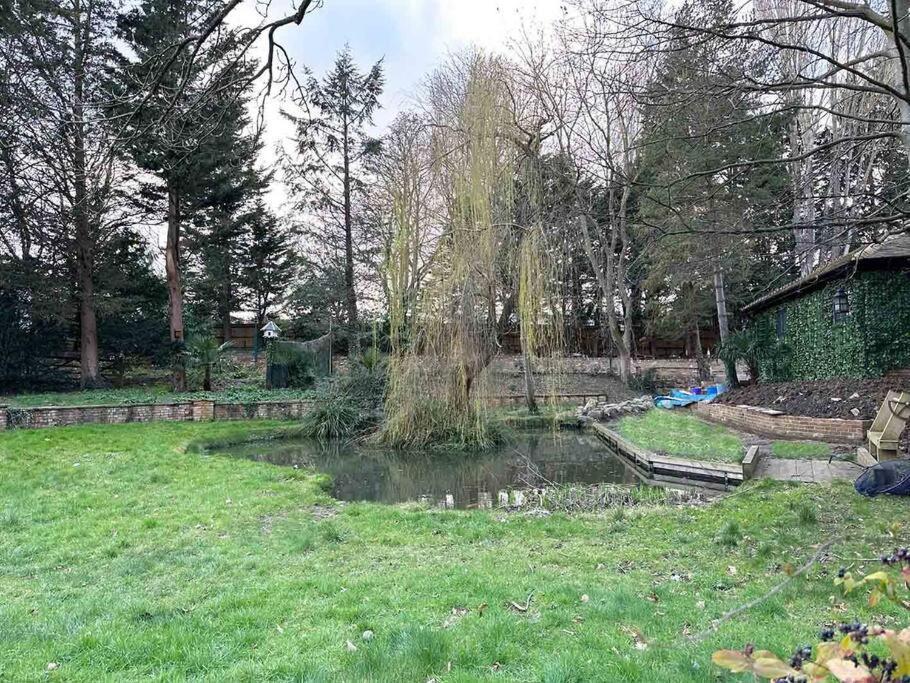 Forest Studio Apartment Gated Parking On 2 Acres Garden 치즐허스트 외부 사진