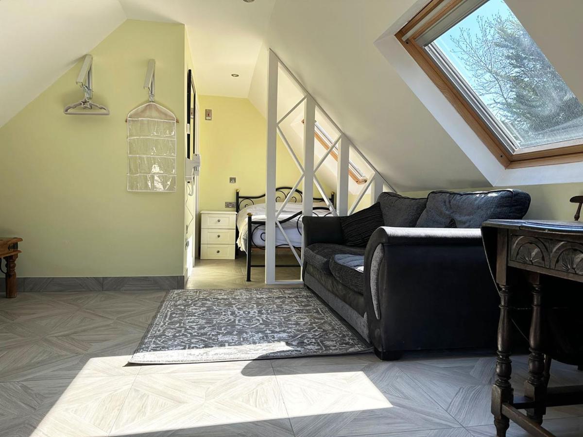 Forest Studio Apartment Gated Parking On 2 Acres Garden 치즐허스트 외부 사진