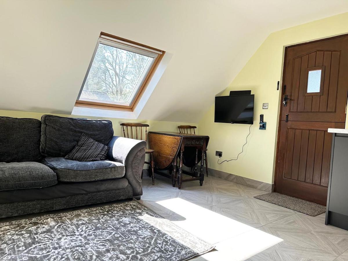 Forest Studio Apartment Gated Parking On 2 Acres Garden 치즐허스트 외부 사진